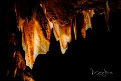 Ribbon, Jenolan Caves, NSW